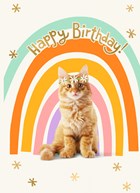 Regenboog kat Happy Birthday